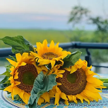 Pensjonat Halta Pescarus